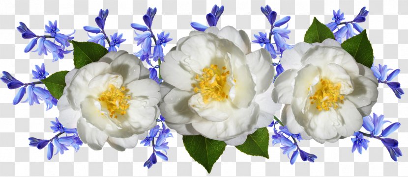 Flowers Background - Floral Design - Peony Still Life Transparent PNG