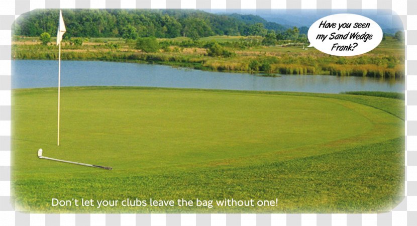 Pitch And Putt Golf Clubs Course Wood - Grass Transparent PNG