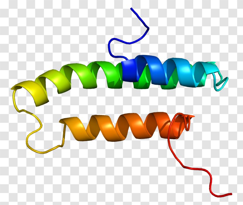 LDL-receptor-related Protein-associated Protein LDL Receptor LRP1 Low-density Lipoprotein Receptor-related 8 - Wikipedia Transparent PNG