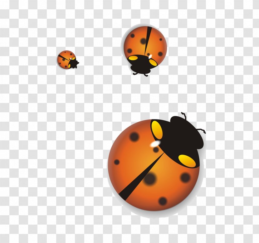 Ladybird Insect - Horse - Ladybug Transparent PNG