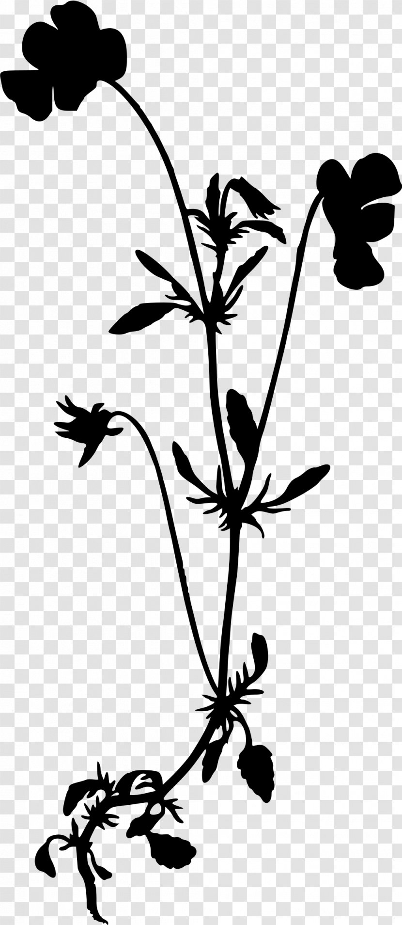 Wildflower Drawing Silhouette Clip Art - Twig - Wild Flowers Transparent PNG