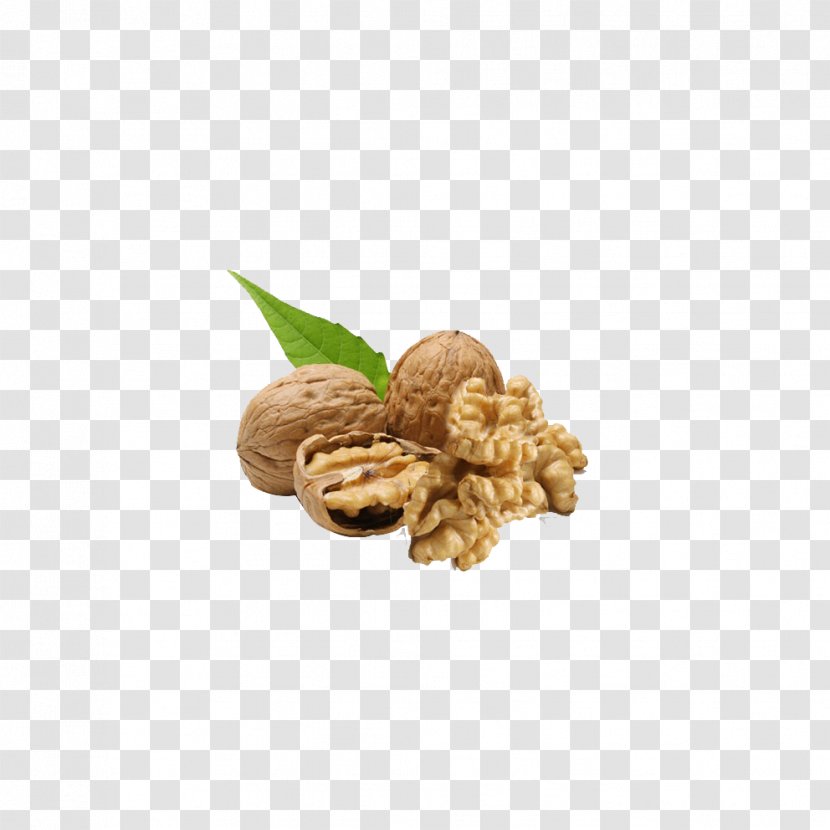 English Walnut Nuts Auglis - Peanut Transparent PNG