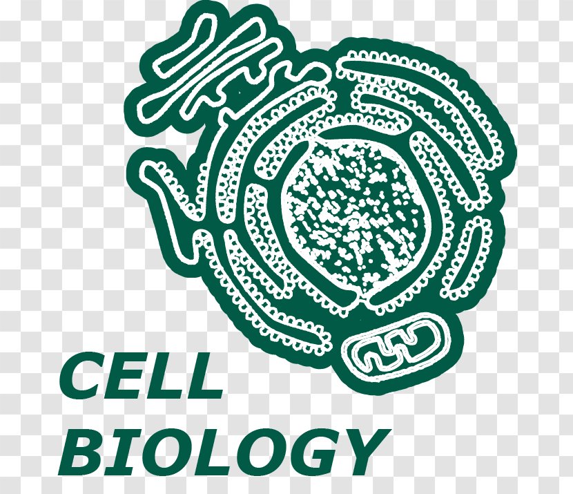 Logo Brand Organism Font - Cell Biology Transparent PNG