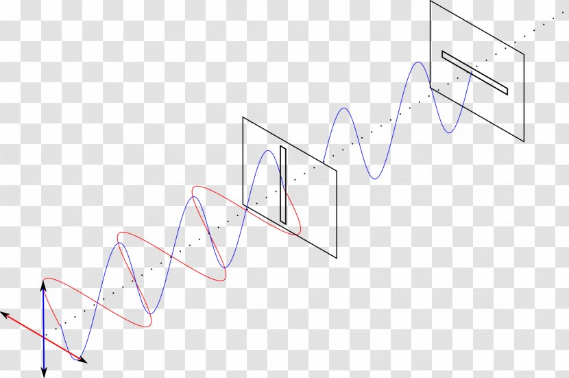 Polarized Light Transverse Wave Diagram Transparent PNG