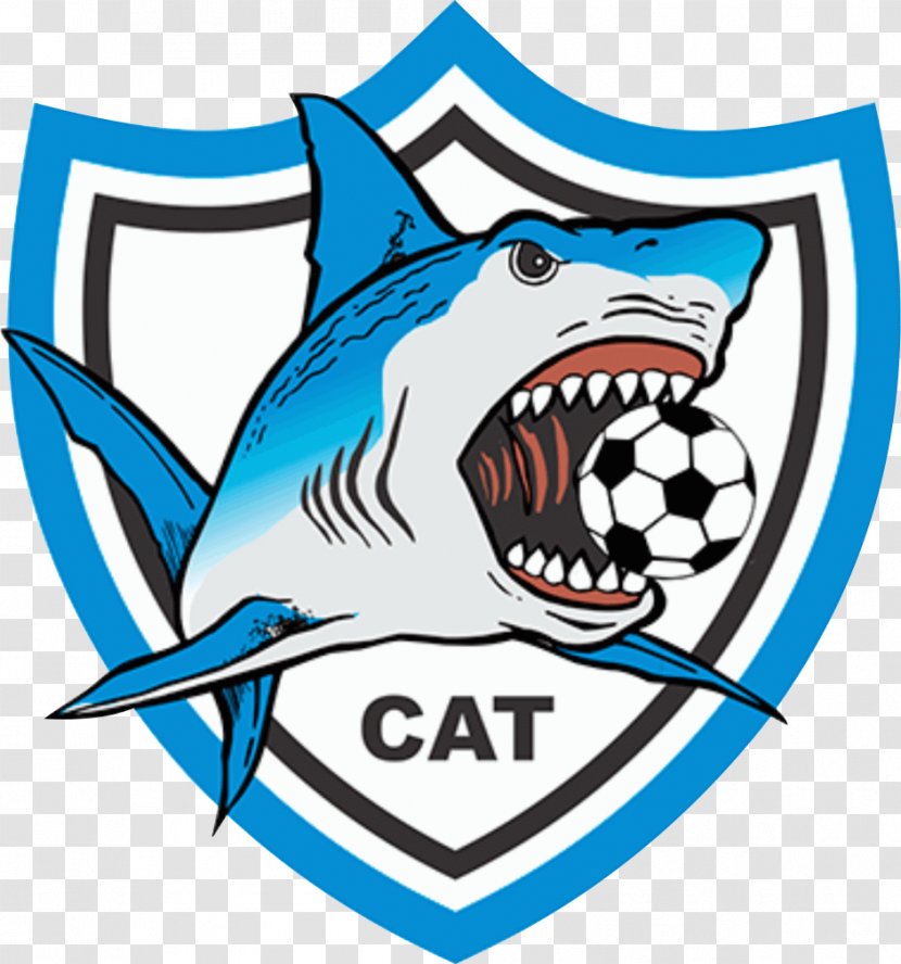 Clube Atlético Tubarão Futebol Shark Football - Artwork Transparent PNG