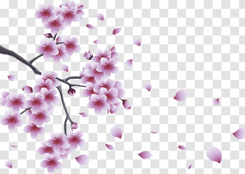 Spring Clip Art - Pink - Cherry Blossom Transparent PNG