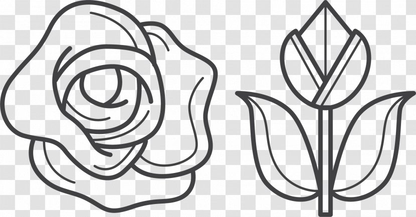 Beach Rose Flower Clip Art - Cartoon - Pen Transparent PNG