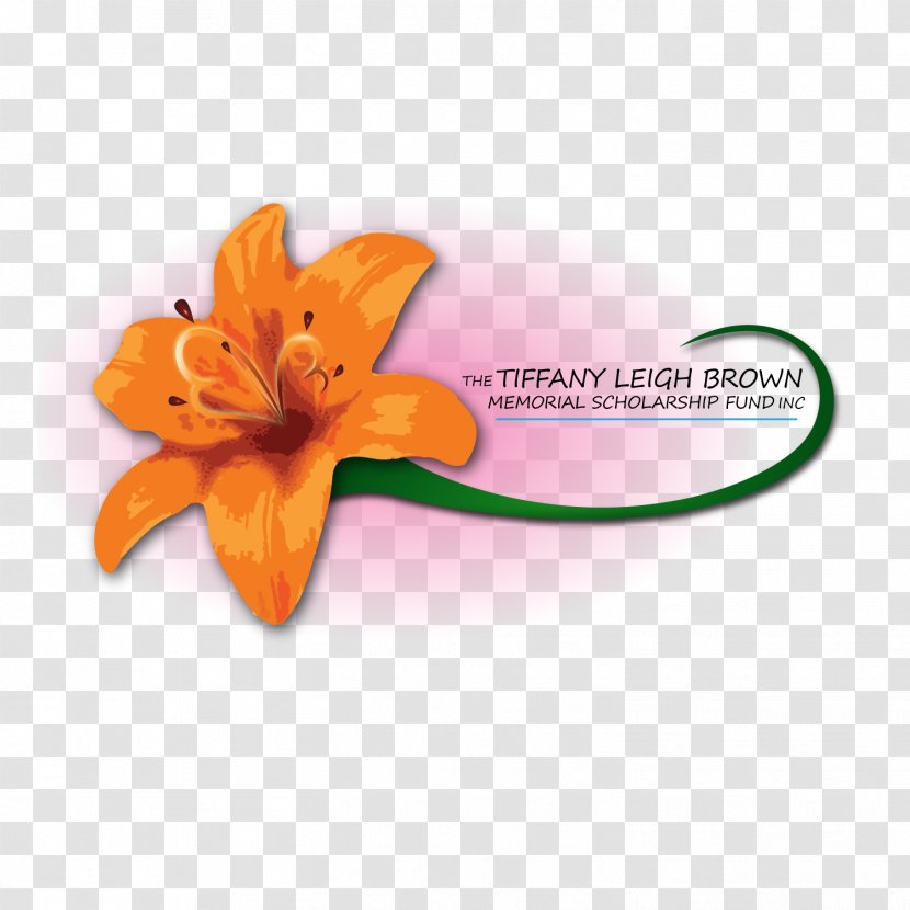 Petal Font - Flower - Orange Transparent PNG