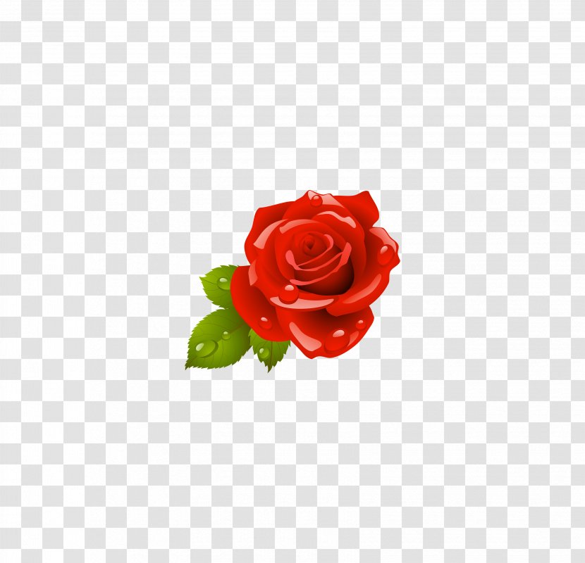 Garden Roses Flower - Plot - Rose,Red Rose Transparent PNG