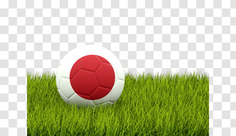 Nottingham Forest F.C. American Football Pakistan Federation Association Of Serbia - Flag - Japan Transparent PNG