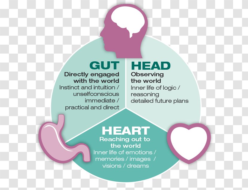 Instinct Gastrointestinal Tract Gut–brain Axis Neuroscience Psychological Stress - Thought - Extraordinary Transparent PNG