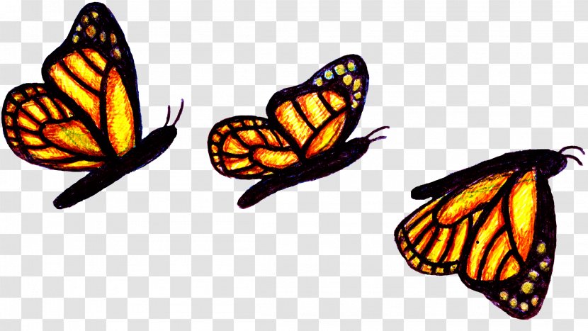 Monarch Butterfly Insect Swingerclub FireTwin - Butterflies And Moths - Chameleon Transparent PNG