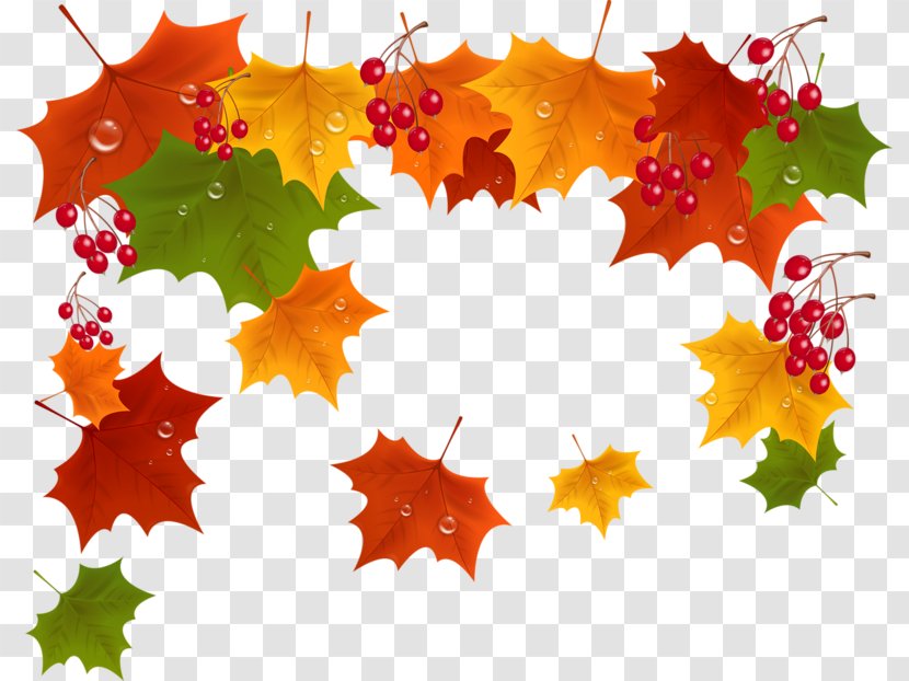 Autumn Desktop Wallpaper Clip Art - Orange Transparent PNG