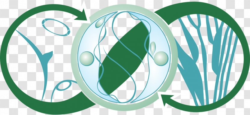 Biology Parasitology Master's Degree Doctorate Bioinformatics - Logo - Conselho Federal De Biologia Transparent PNG