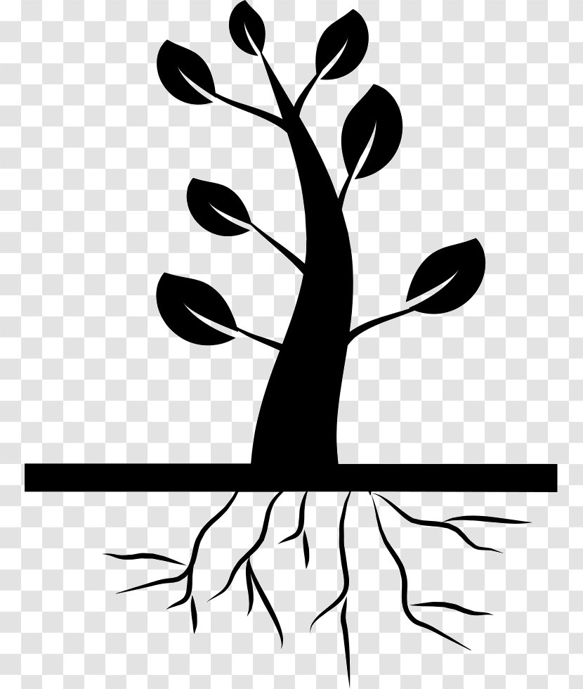 Tree Root Clip Art - Black And White Transparent PNG
