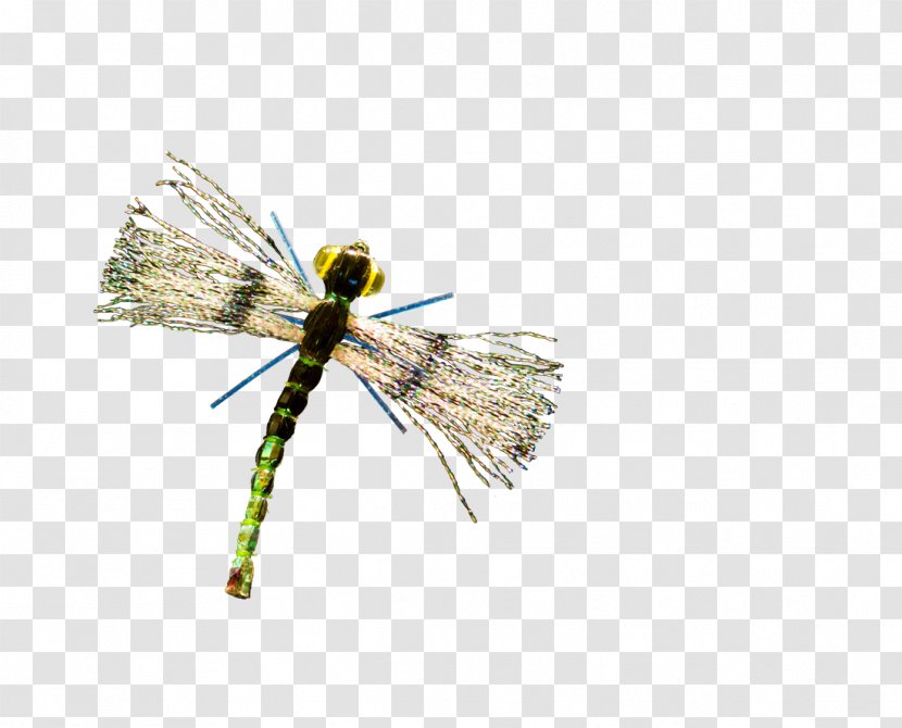 Insect Artificial Fly Transparent PNG