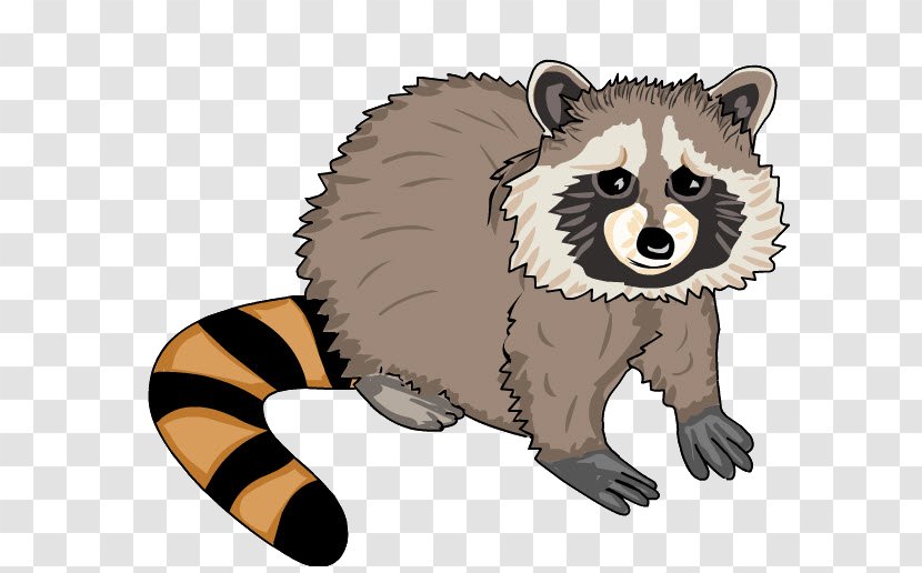 Whiskers Raccoon Technology Education Animal - Area - Painting Transparent PNG