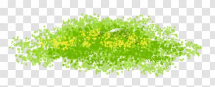 Green Tree Computer Wallpaper - Heap - Grass Transparent PNG