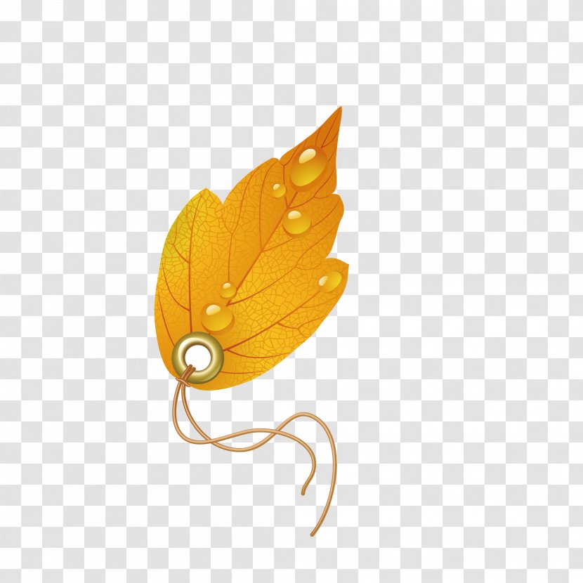 Euclidean Vector Maple Leaf - Logo - Autumn Personality Promotion Label Transparent PNG