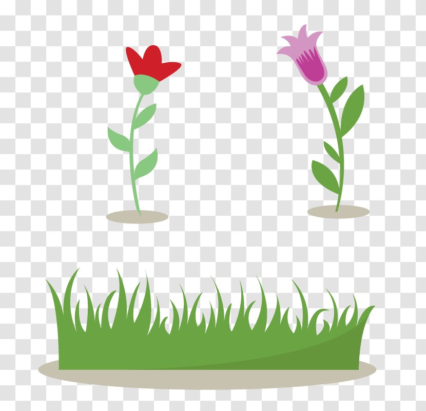 Shrub Drawing - Cartoon - Bushes And Flowers Transparent PNG