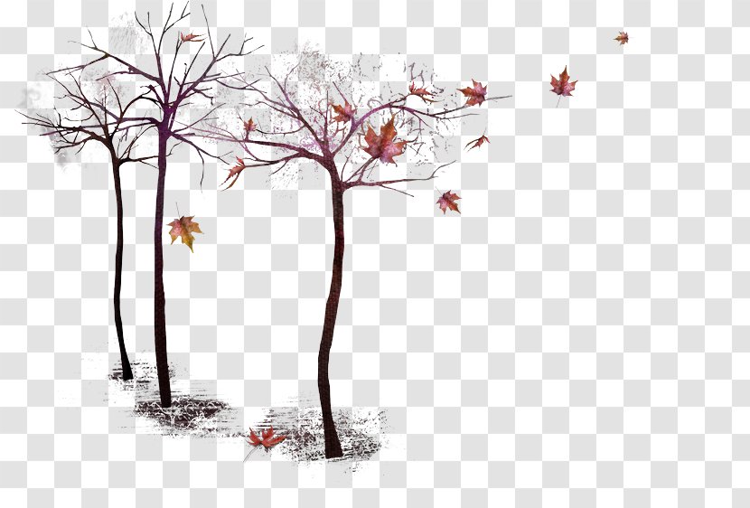 Autumn Tree Twig Image - Winter Transparent PNG