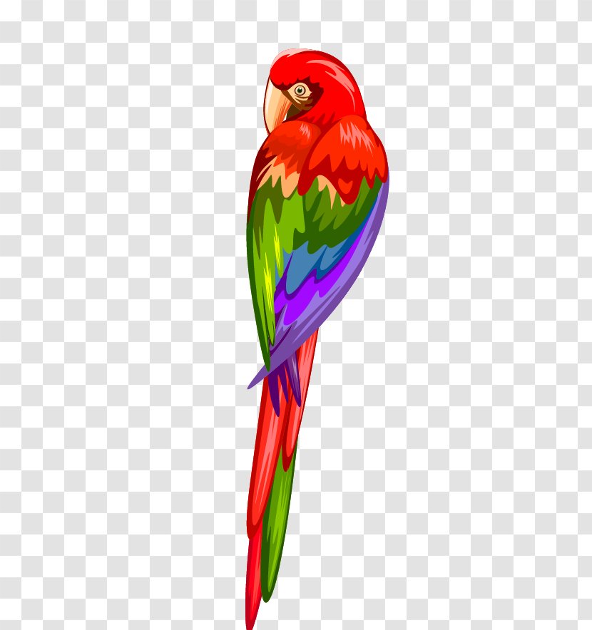 Parrots Of New Guinea Macaw - Art - Parrot Transparent PNG