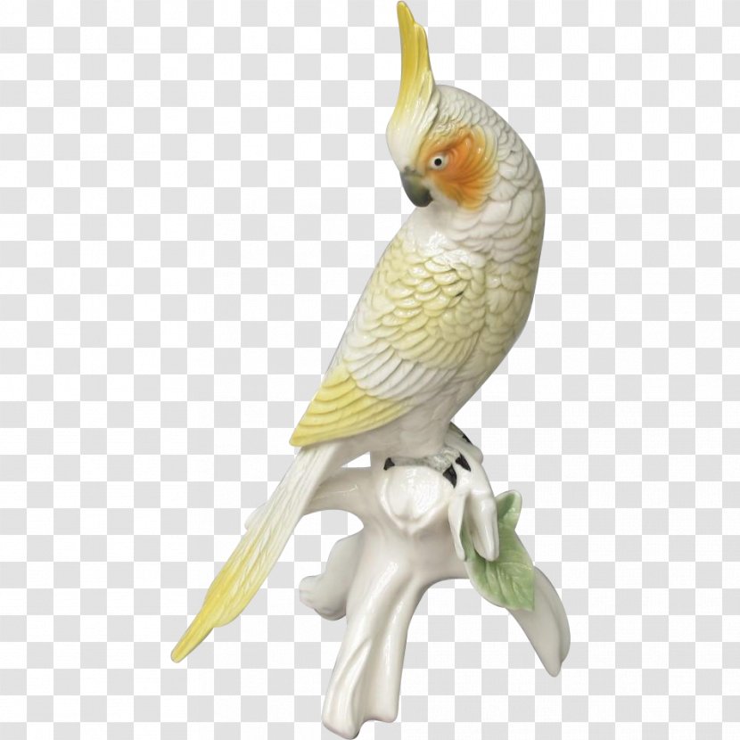 Budgerigar Cockatiel Cockatoo Bird Parakeet - Beak Transparent PNG