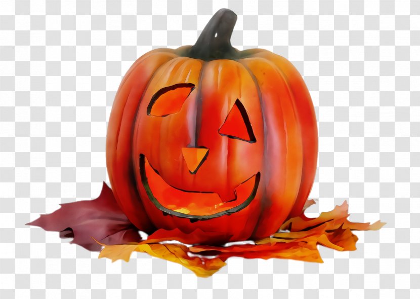 Orange - Jackolantern - Smile Plant Transparent PNG