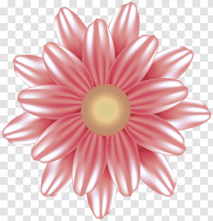 Transvaal Daisy Cut Flowers Flower Chrysanthemum Petal Transparent PNG