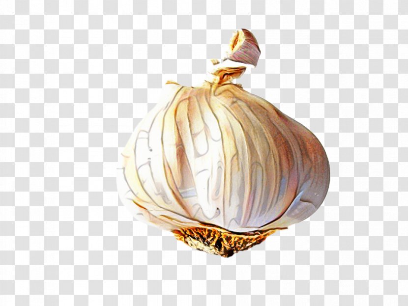 Onion Cartoon - Solo Garlic - Yellow Amaryllis Family Transparent PNG