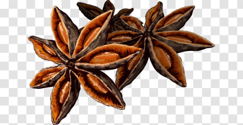 Star Anise Spice Clip Art - Cardamom - Cliparts Transparent PNG