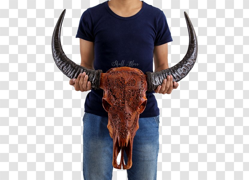 Mandala Texas Longhorn Antique Carving - Symbol - Buffalo Skull Transparent PNG