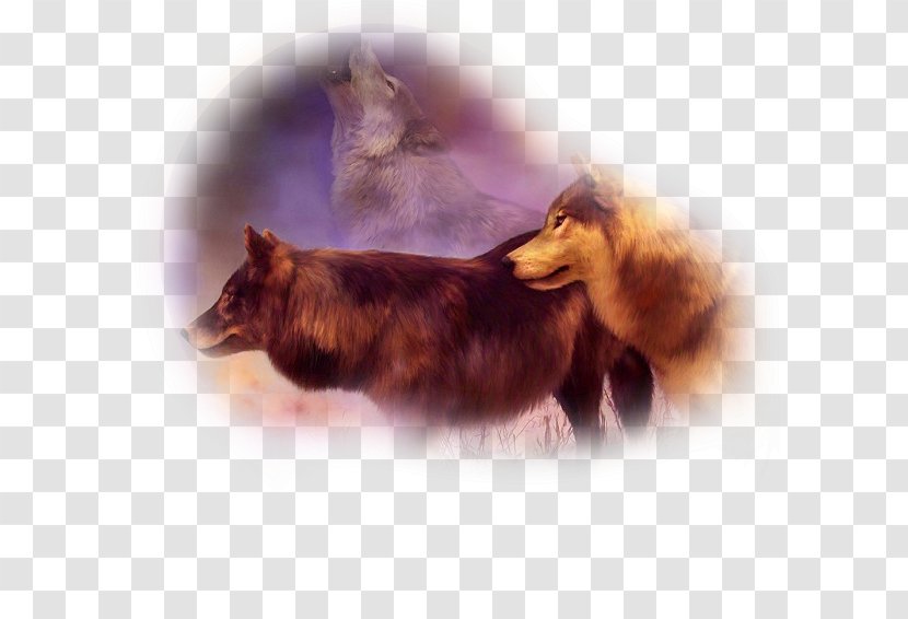 Oil Painting Art Paint By Number - Snout Transparent PNG