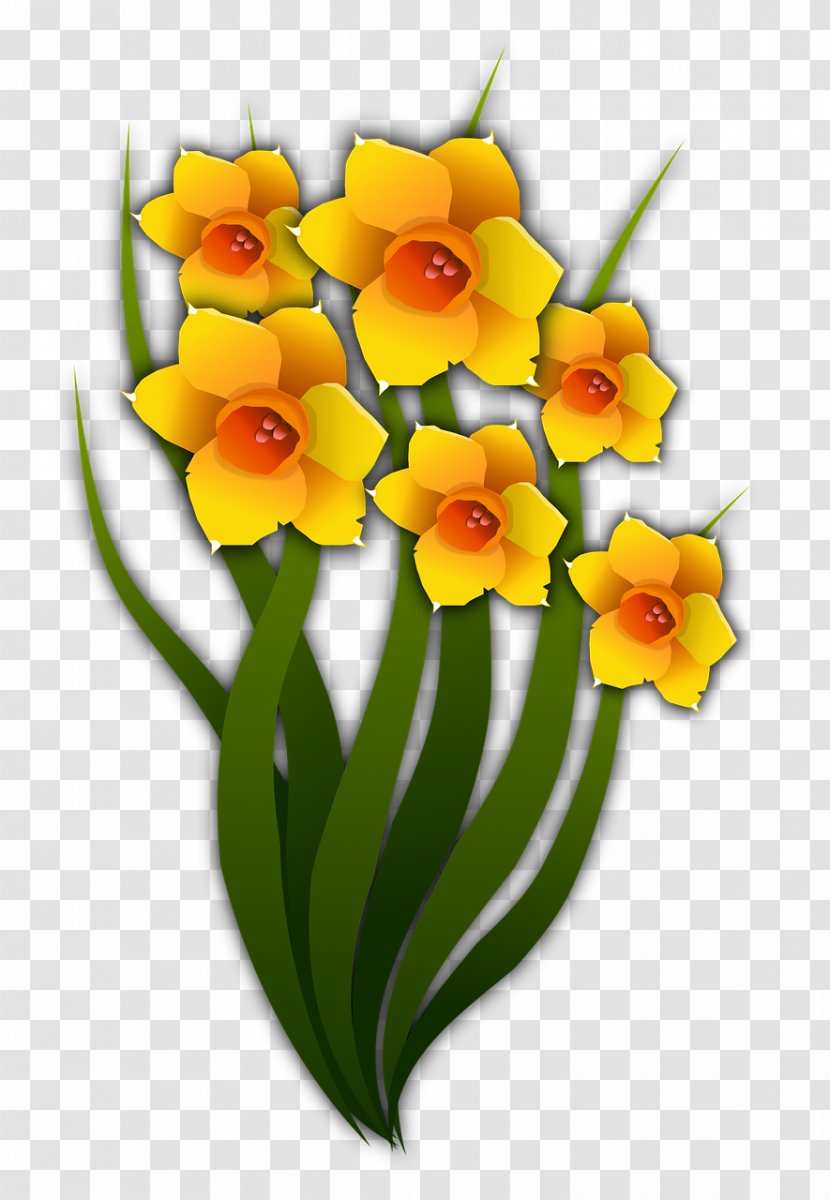 Daffodil Drawing Cut Flowers - Flower Arranging Transparent PNG