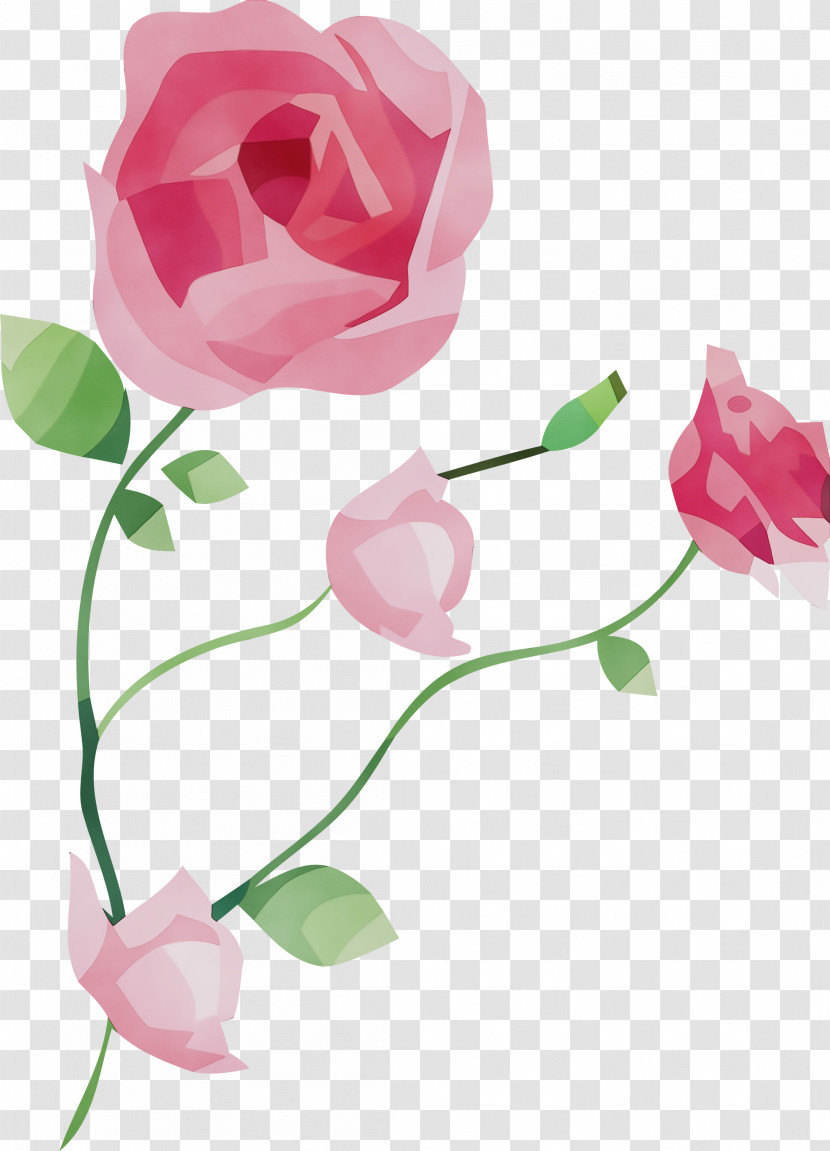 Garden Roses Transparent PNG