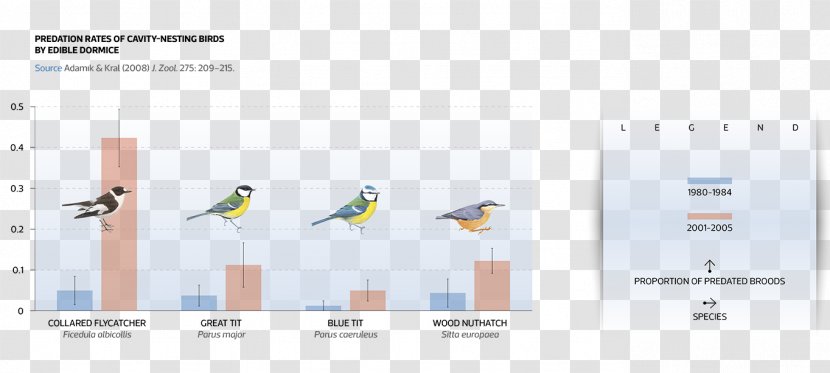 Bird Climate Change Chart European Pied Flycatcher Global Warming Transparent PNG