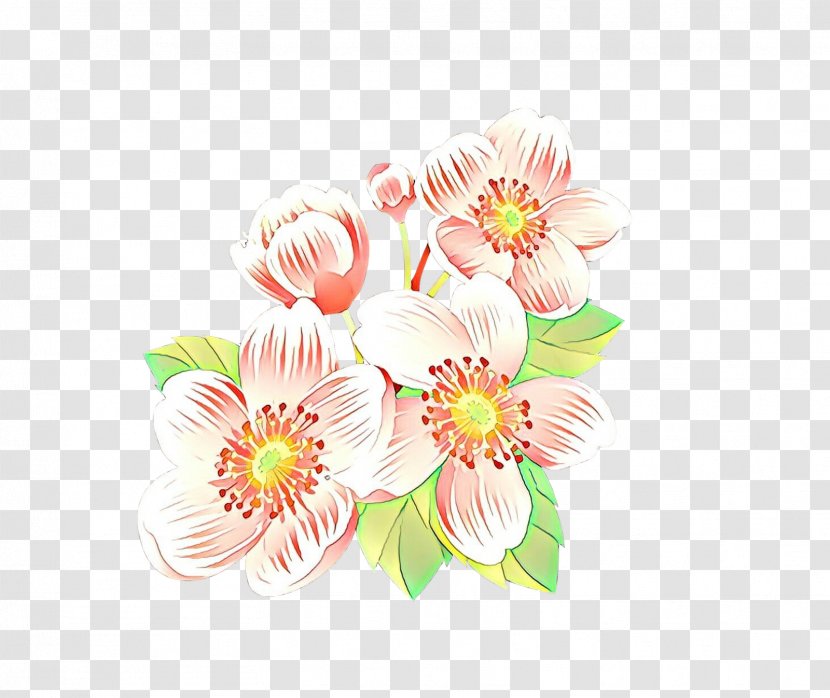 Pink Flower Gerbera Cut Flowers Petal - Bouquet Flowering Plant Transparent PNG