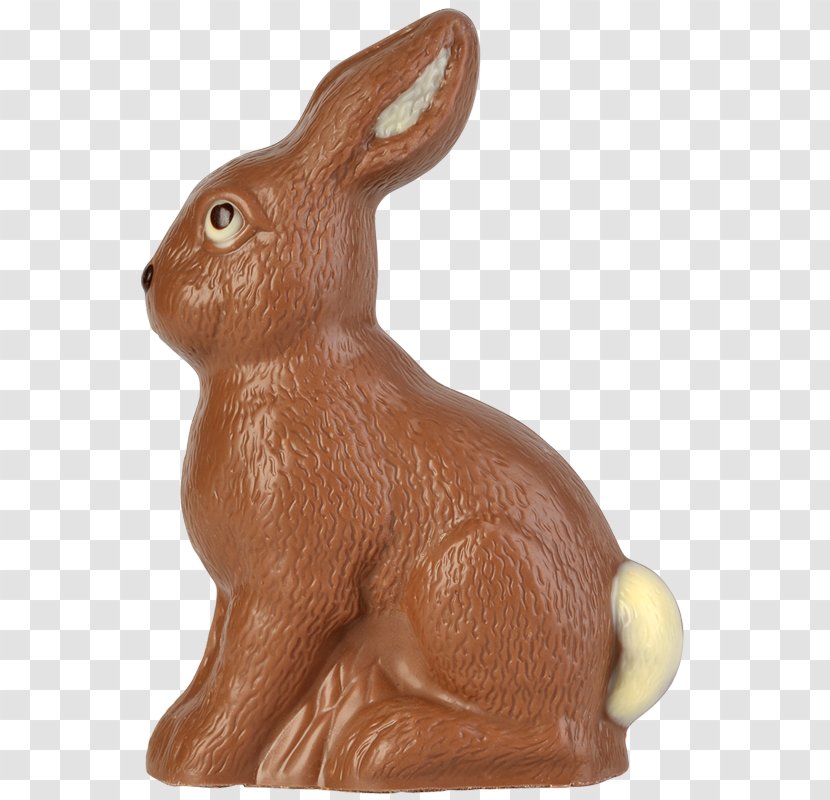 Domestic Rabbit Hare Easter Bunny - Chocolate - Ender Transparent PNG
