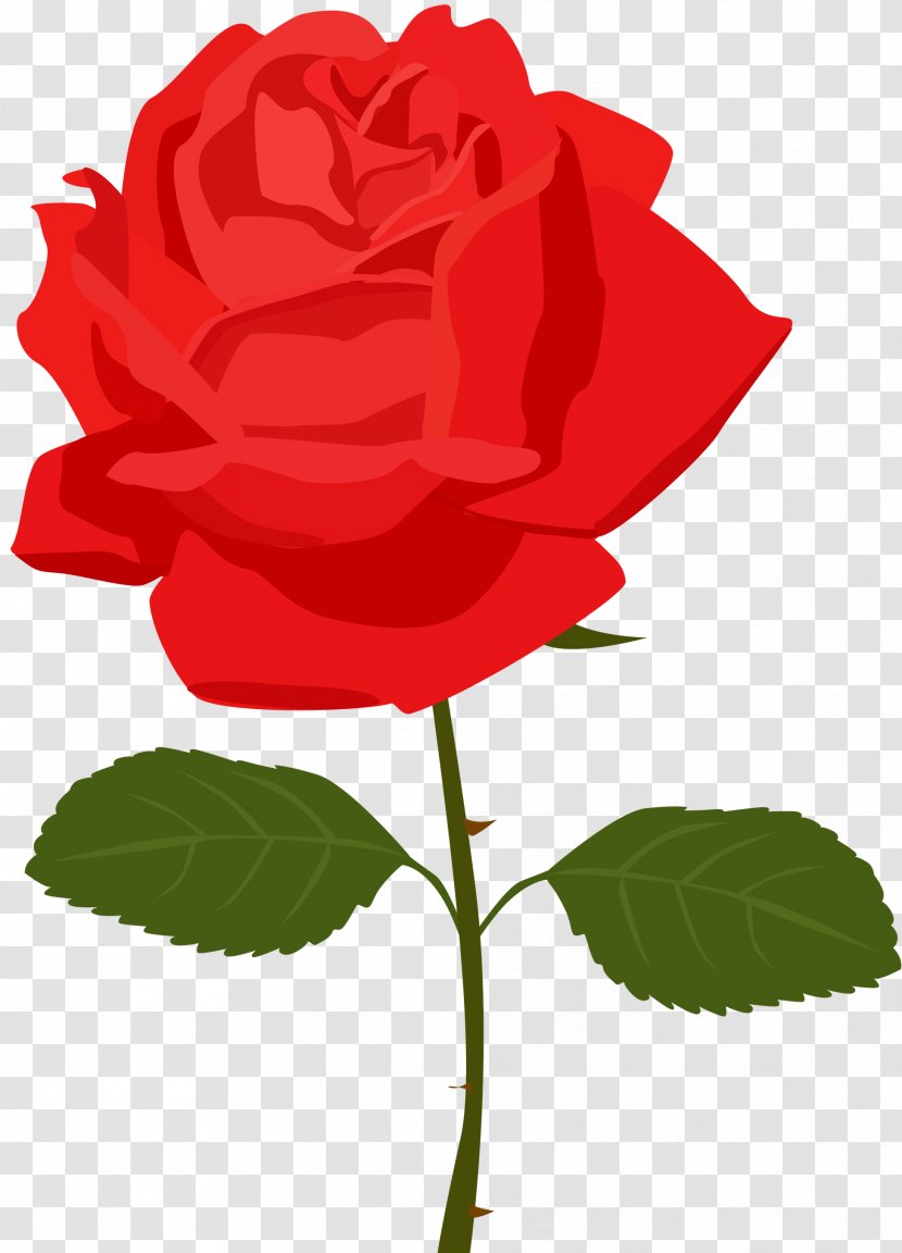 Rose Flower Clip Art - Cut Flowers - Transparent Red Picture Transparent PNG
