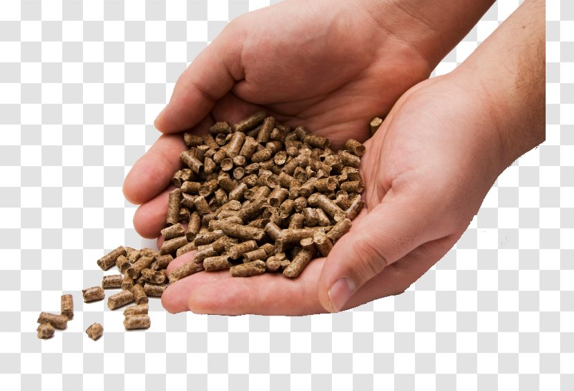 Pellet Fuel Biomass Briquettes Boiler - Industry - G Fire Transparent PNG