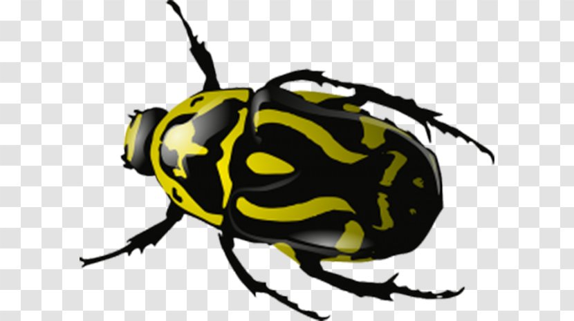 2017 Volkswagen Beetle Ladybird Clip Art - Yellow Markings Transparent PNG