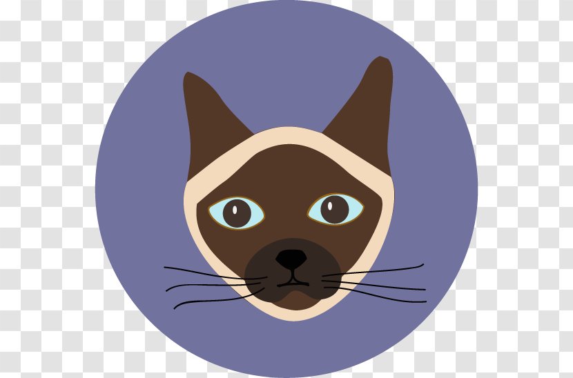 Whiskers Kitten Black Cat National Day - Nose Transparent PNG