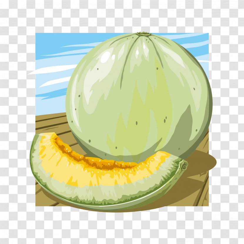 Watermelon Hami Melon Cantaloupe Fruit - Gourd Order - Farmland Background Transparent PNG