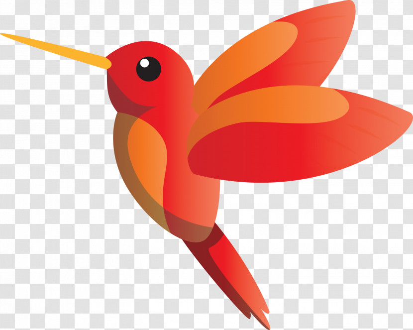 Insect Hummingbirds Butterflies Wing Beak Transparent PNG