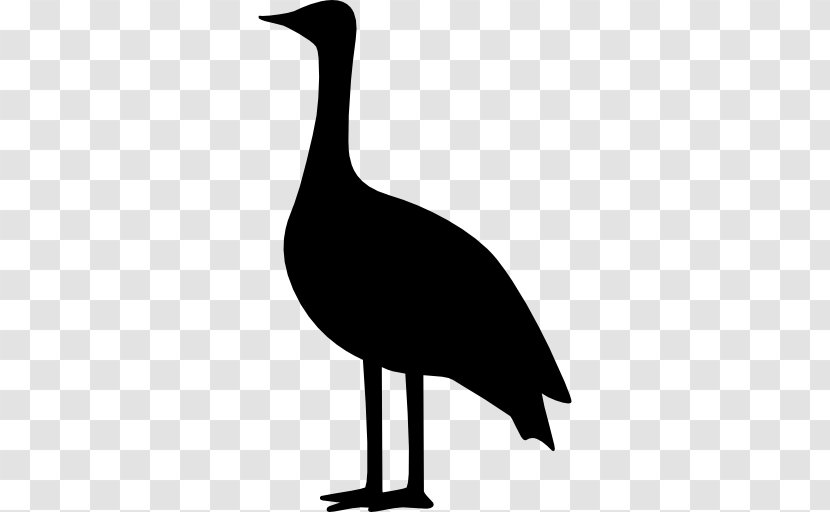 Crane Bird Goose - Beak - Red-crowned Transparent PNG