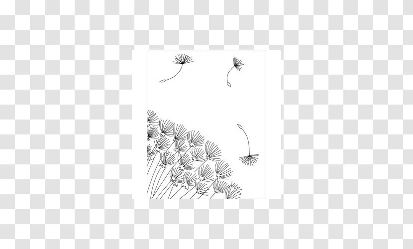 Feather Line Angle - Organism Transparent PNG