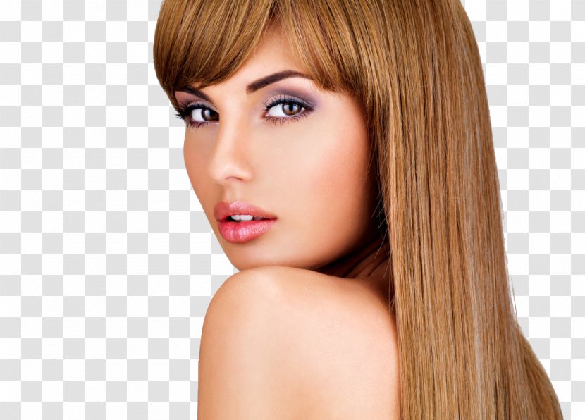 Hairstyle Beauty Parlour Model Hairdresser - Tree - Makeup Transparent PNG