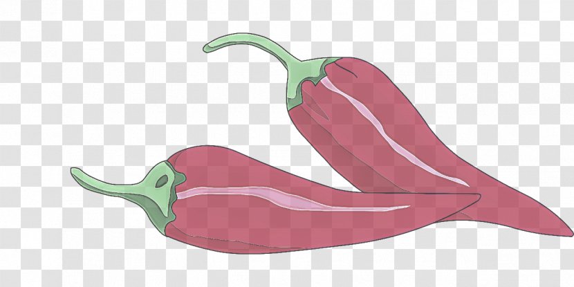 Chili Pepper Bell Peppers And Vegetable Plant Jalapeño - Food Nightshade Family Transparent PNG