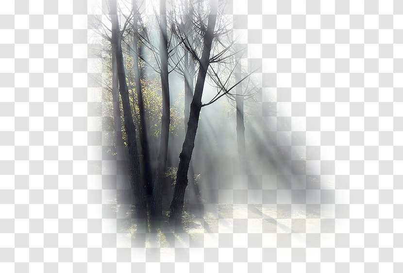 Fog Desktop Wallpaper Mist White Trident - Black And Transparent PNG