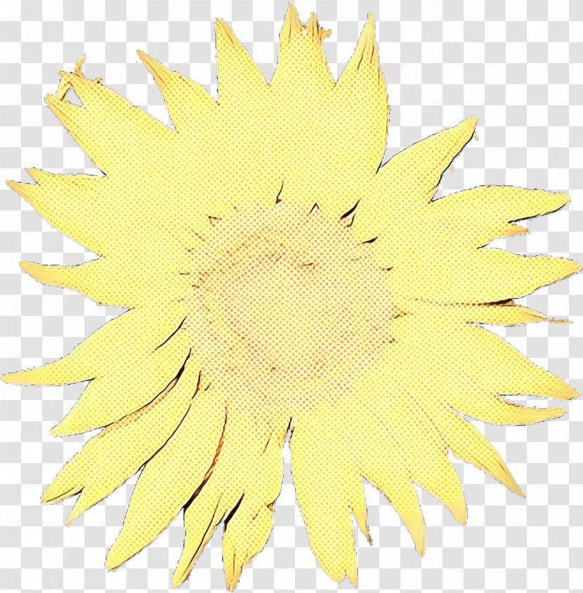 Sunflower - Flower - Petal Dandelion Transparent PNG